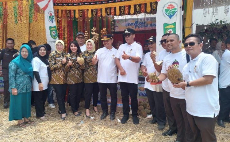  Setiap Panen, 200 Ton Manggis Tambangan Diekspor Ke Luar Negeri