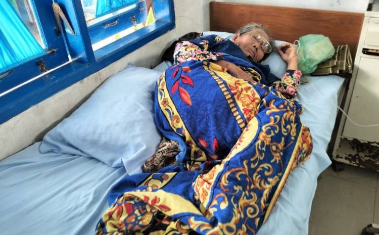  Diseruduk Babi Hutan, Warga Kotanopan Luka 24 Jahitan