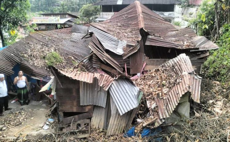  Rumahnya Tertimpa Pohon Beringin, Warga Singengu Jae  Harapkan Bantuan
