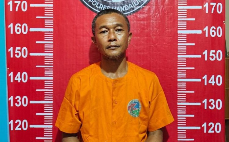 Polres Madina Sikat 5 Pelaku Narkoba