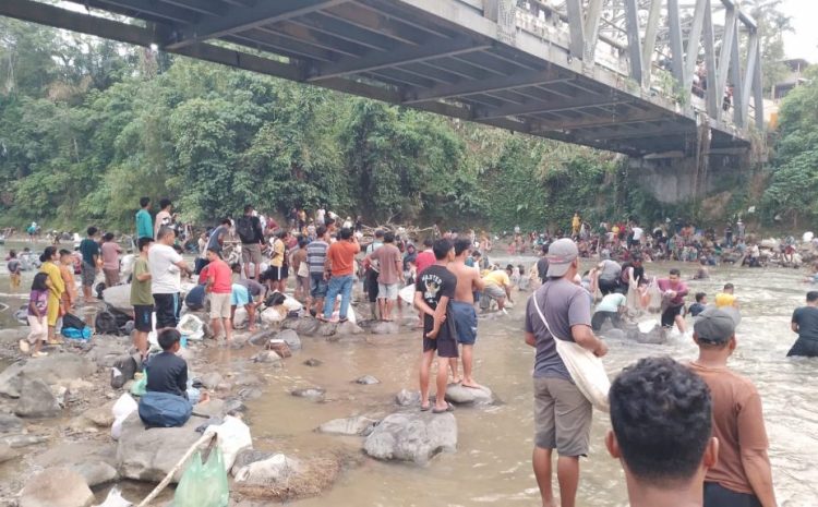 Ratusan Warga Ikuti Panen Ikan Larangan Di Kelurahan Laru Lombang