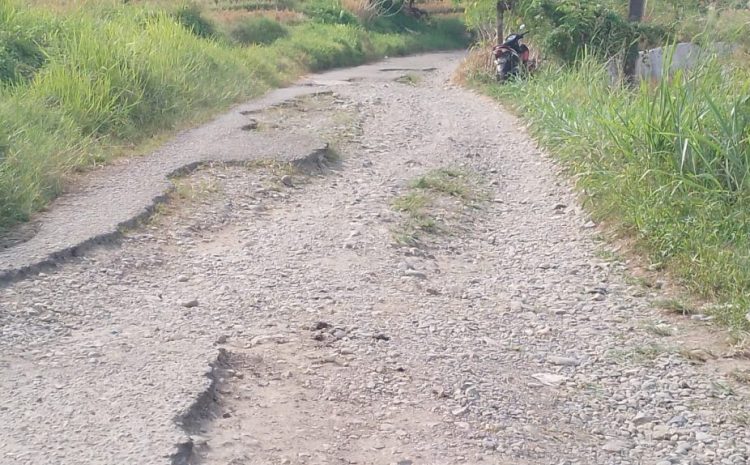 Warga Sembilan Desa di Kotanopan  Harapkan Perbaikan Jalan