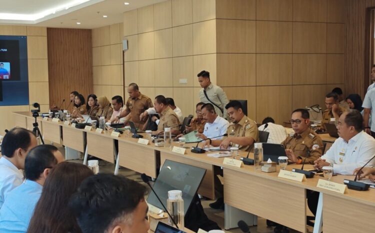 Bupati  Madina Audiensi dengan Menteri Kesehatan, Ini Prioritas untuk Bumi Gordang Sambilan