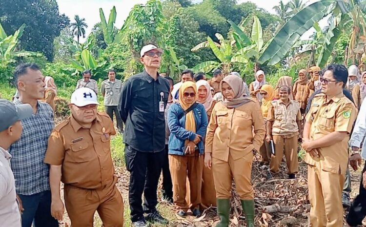Staf Ahli Mentan Tinjau Sawah Terdampak Banjir di Madina