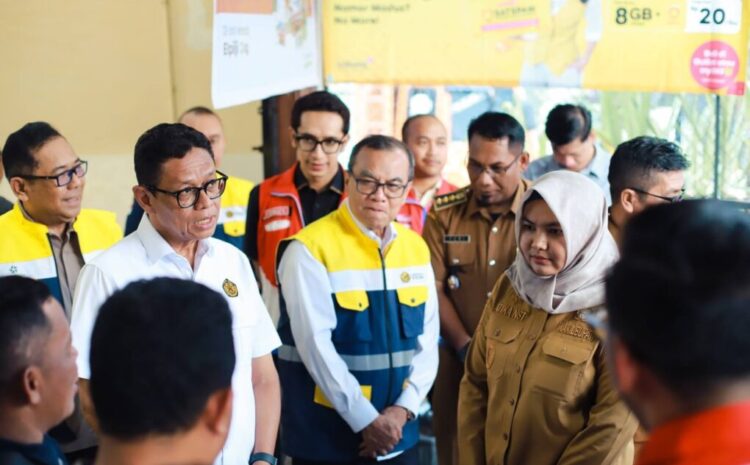 Di Madina, Wakil Menteri ESDM Tinjau Kesiapan Energi Jelang Nataru