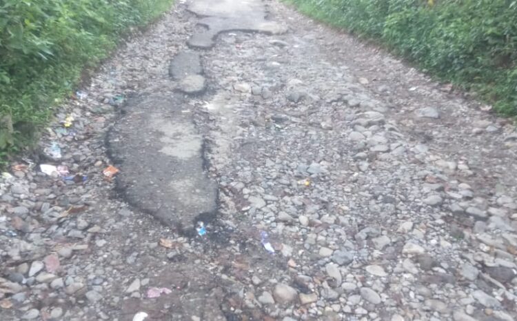  Warga Hutabaringin Julu PSM Minta Jalan ke Desanya Diperbaiki