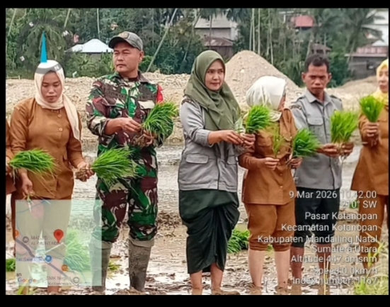  Kelompok Tani Saroha Kembali  Oftimalkan Lahan Eks Tambang Menjadi Lahan Produktif