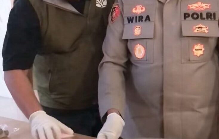 Jual Kulit Harimau, Warga Muarasipongi Ditangkap Polres Padang Sidempuan