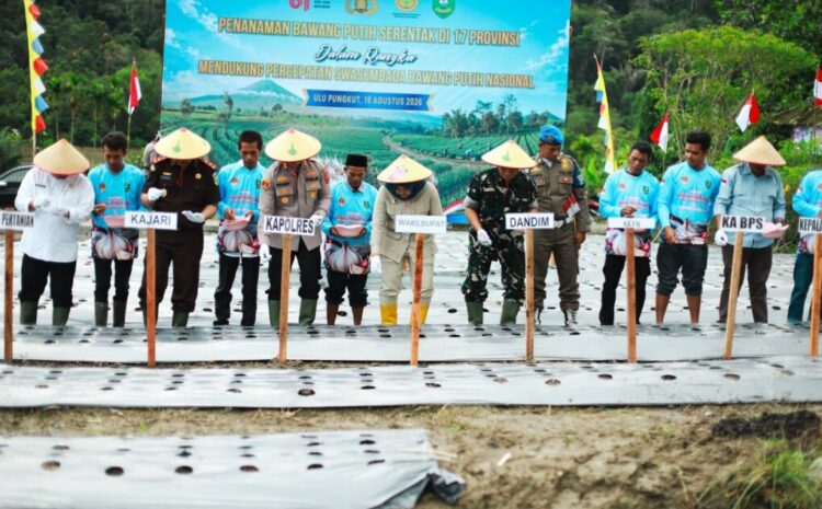  Dukung Program Swasembada Pangan, Wabup Atika Tanam Bawang Putih di Ulupungkut