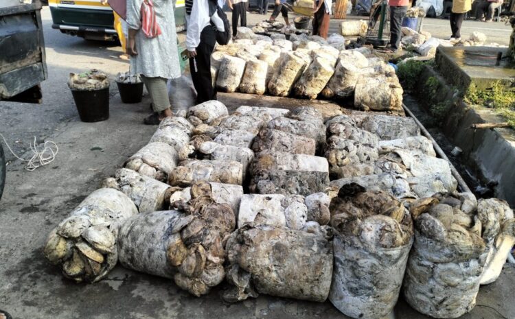  Harga Karet di Kotanopan Tetap  Bertahan  Rp18.000 per Kilogram
