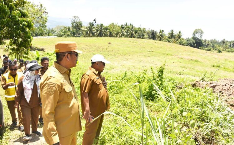 Pemkab Madina Siapkan Budidaya Pisang Kepok di Lahan Lima Hektare