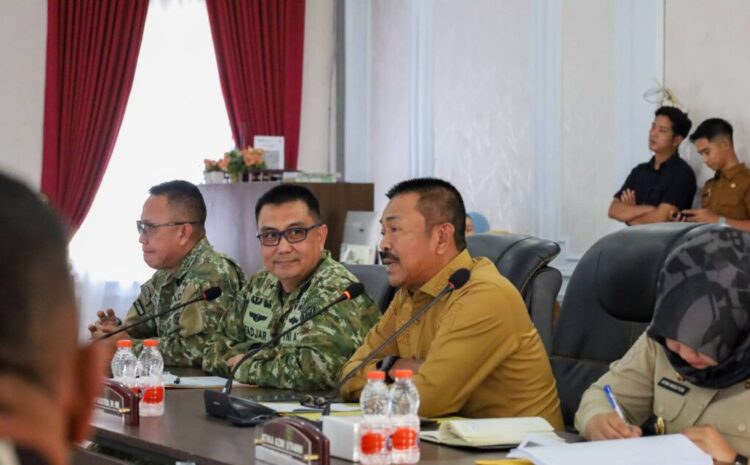 Pemkab Madina dan Satgas PRR Sinkronisasi Data Pemulihan Pascabencana